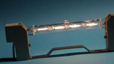 Halogen Bulb